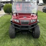 2025 Evolution Electric Vehicles D5-Maverick 6 For Sale