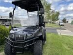 2025 Evolution D5-Maverick 2+2 Lithium Electric 4 Passenger Golf Cart for Sale - Image 5