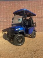 2026 Bintelli Beyond 4L LITHIUM Golf Cart