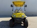 2025 Icon I40L LITHIUM Golf Cart