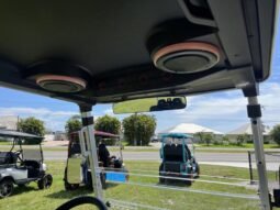 2025 Evolution D-Max XT4 Golf Carts For Sale