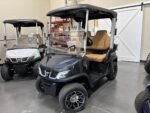 Brand New Custom 2025 Tara Spirit Pro ( With 9inch Head Unit For Speed & Battery % ) For Sale