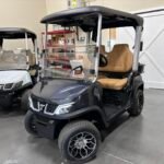 Brand New Custom 2025 Tara Spirit Pro ( With 9inch Head Unit For Speed & Battery % ) For Sale