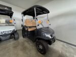 2025 Tara Spirit Pro 2 Passenger Golf Cart For Sale