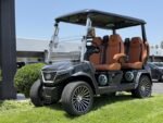 2025 Evolution Electric Vehicles D-Max GT4