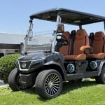2025 Evolution Electric Vehicles D-Max GT4