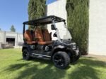 2025 Evolution Electric Vehicles D-Max XT4 For Sale - Image 8