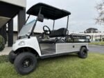 2025 Evolution Electric Vehicles Turfman 1000 - Image 9