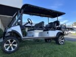 2025 Evolution Electric Vehicles Forester 6 Plus - Image 2