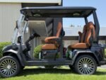 2025 Evolution Electric Vehicles D-Max GT4 - Image 6
