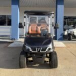 2025 Tara Roadster 2+2 4 Passenger Non Lifted For Sale