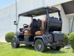2025 Evolution Electric Vehicles D-Max GT4 - Image 4