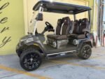 2025 Evolution Electric Vehicles D-Max XT4 For Sale - Image 10