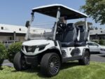 2025 Evolution Electric Vehicles D-Max GT4 For Sale - Image 7