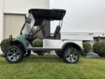 2025 Evolution Electric Vehicles Turfman 800 - Image 12