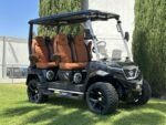 2025 Evolution Electric Vehicles D-Max XT4 For Sale - Image 7