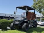 2025 Evolution Electric Vehicles D-Max XT4 For Sale