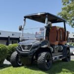 2025 Evolution Electric Vehicles D-Max XT4 For Sale