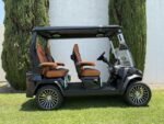 2025 Evolution Electric Vehicles D-Max GT4 - Image 7