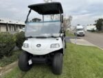 2025 Evolution Electric Vehicles Turfman 1000 - Image 5