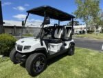 2025 Evolution D5-Ranger 4 Plus Lithium Electric 4 Passenger Golf Cart for Sale
