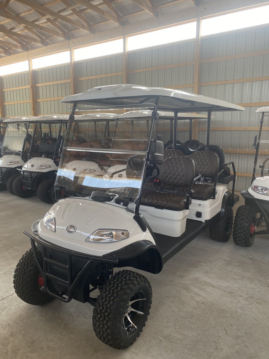 2024 New Elite Alset EV6L Custom Pearl White Metallic 48 volt Low Speed Vehicle LSV street legal cart For Sale