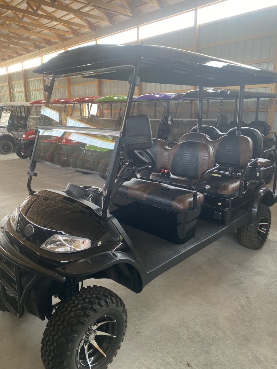 2024 New Elite Alset EV6L Custom Black Metallic 48 volt Low Speed Vehicle LSV street legal cart For Sale