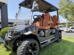 2025 Evolution Electric Vehicles D-Max XT4 For Sale - Image 2