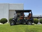 2025 Evolution Electric Vehicles D-Max GT4 - Image 3