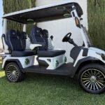 2025 Evolution Electric Vehicles D-Max GT4 For Sale