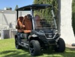 2025 Evolution Electric Vehicles D-Max XT4 For Sale - Image 6