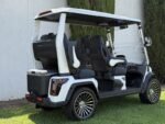 2025 Evolution Electric Vehicles D-Max GT4 For Sale - Image 6