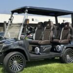 2025 Evolution Electric Vehicles D-Max GT4 For Sale