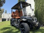 2025 Evolution Electric Vehicles D-Max XT4 For Sale - Image 9