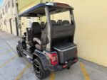 2025 Evolution Electric Vehicles D-Max XT4 For Sale - Image 4