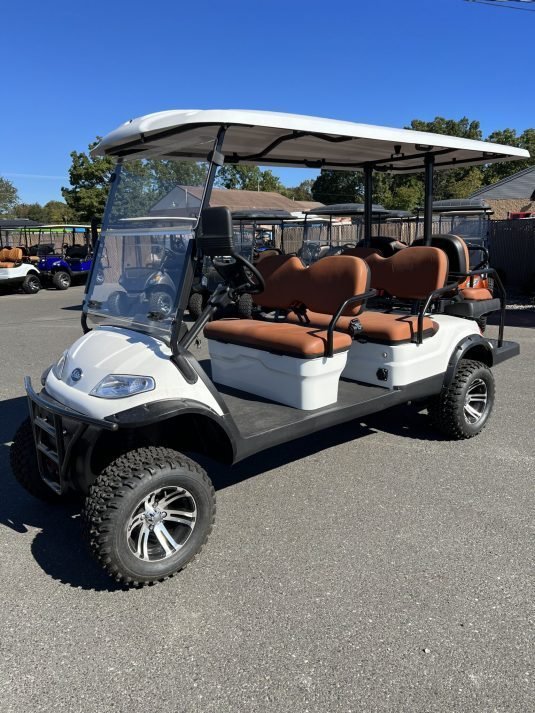 2023 New Elite Alset EV6L White Metallic 48 volt Low Speed Vehicle LSV street legal cart for sale