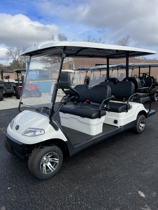 2023 New Elite Alset EV6 White Metallic 48 volt AC electric Low Speed Vehicle LSV street legal cart For Sale